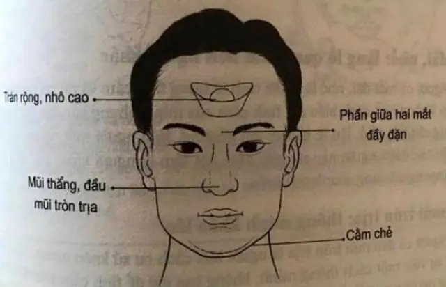 Tướng Mặt Tròn Nam Tướng Mặt Tròn Nam