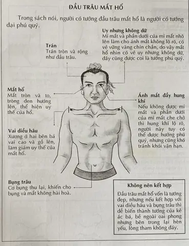 Tướng Mắt Với Tướng Mắt Với