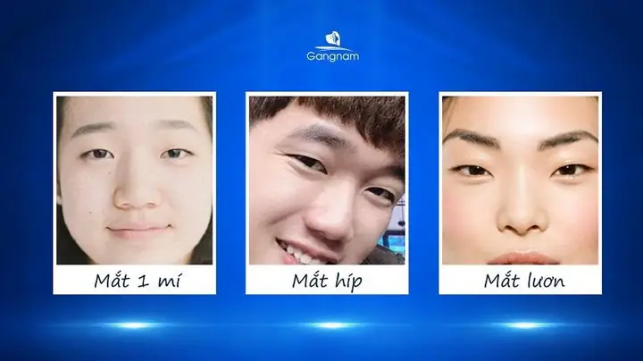 Tướng Mắt Với Tướng Mắt Với