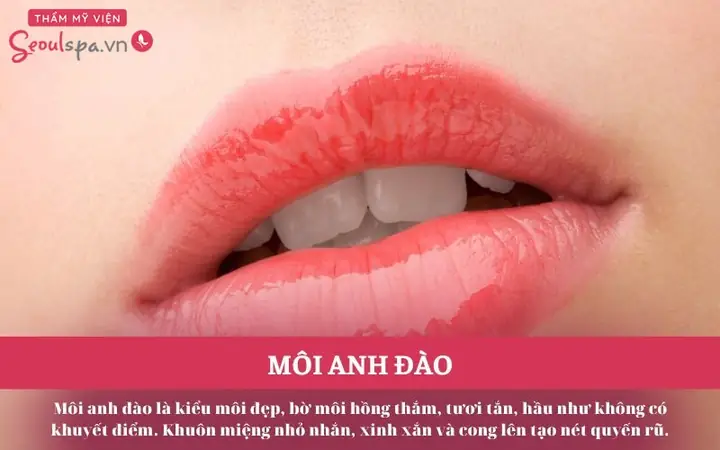 Tướng Môi Anh Đào Nữ Tướng Môi Anh Đào Nữ