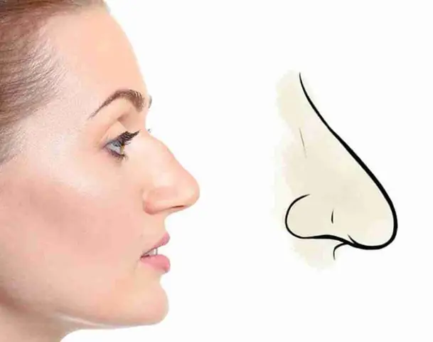 Tướng Mũi Diều Hâu Nữ Tướng Mũi Diều Hâu Nữ