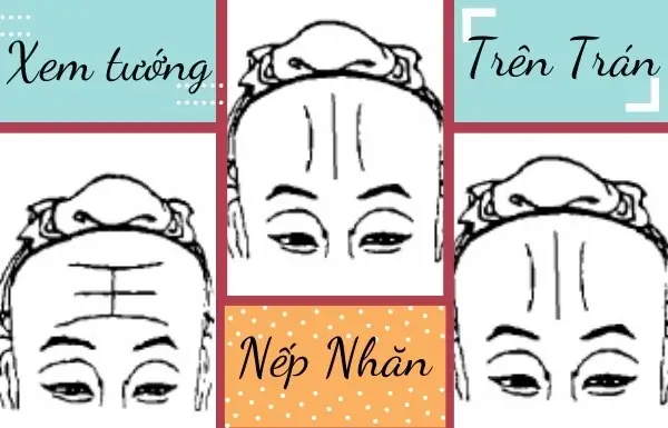 Tướng Nếp Nhăn Trên Trán Phụ Nữ Tướng Nếp Nhăn Trên Trán Phụ Nữ