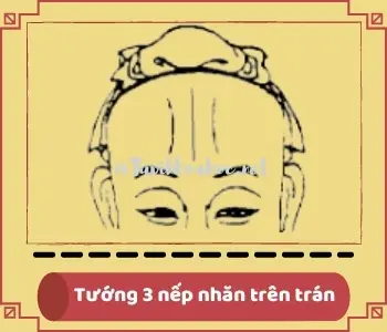 Tướng Nếp Nhăn Trên Trán Phụ Nữ Tướng Nếp Nhăn Trên Trán Phụ Nữ