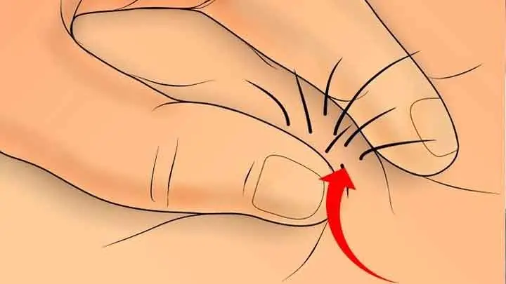 Tướng Người Có Lông Ở Hậu Môn Tướng Người Có Lông Ở Hậu Môn