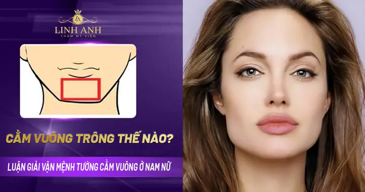 Tướng Phụ Nữ Cằm Vuông Tướng Phụ Nữ Cằm Vuông