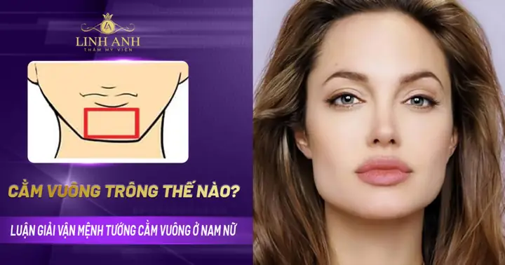 Tướng Phụ Nữ Cằm Vuông Tướng Phụ Nữ Cằm Vuông