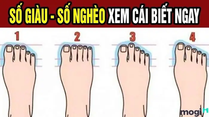 Tướng Phụ Nữ Có Bàn Chân Nhỏ Tướng Phụ Nữ Có Bàn Chân Nhỏ