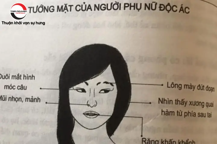 Tướng Phụ Nữ Hung Dữ