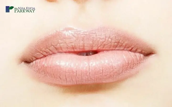 Tướng Phụ Nữ Môi Trề Tướng Phụ Nữ Môi Trề