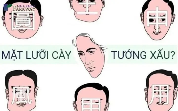 Tướng Số Người Mặt Lưỡi Cày Tướng Số Người Mặt Lưỡi Cày