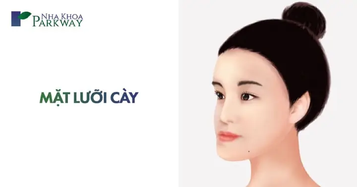 Tướng Số Người Mặt Lưỡi Cày Tướng Số Người Mặt Lưỡi Cày