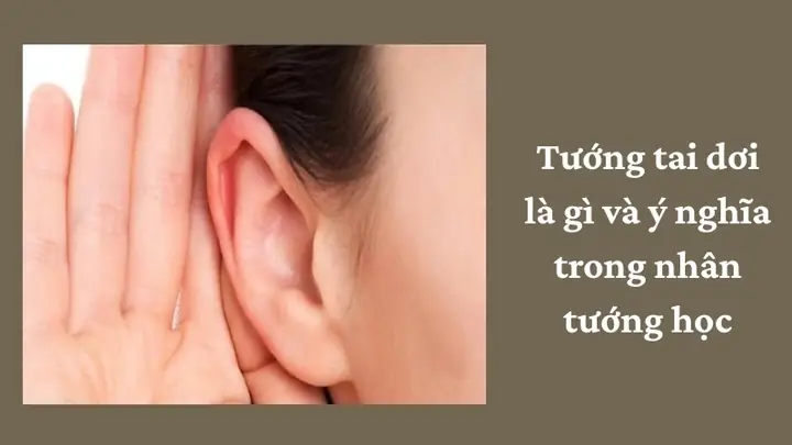 Tướng Tai Dơi Tướng Tai Dơi