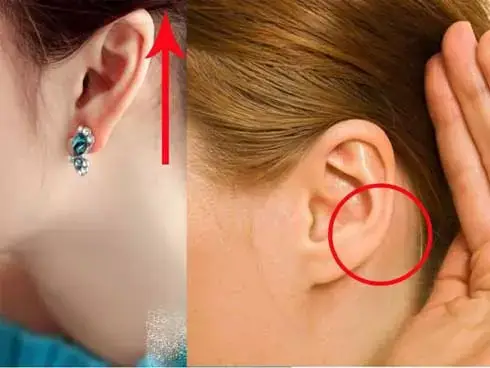 Tướng Tai Nhỏ Nữ Tướng Tai Nhỏ Nữ