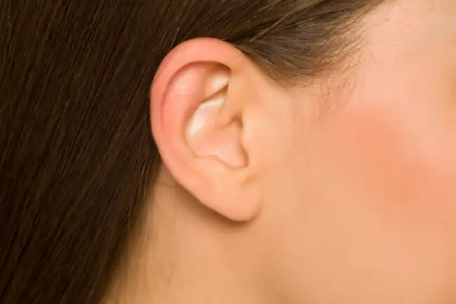 Tướng Tai Nhỏ Nữ Tướng Tai Nhỏ Nữ