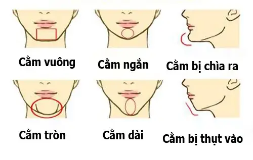 Tướng Trán Cao Cằm Ngắn