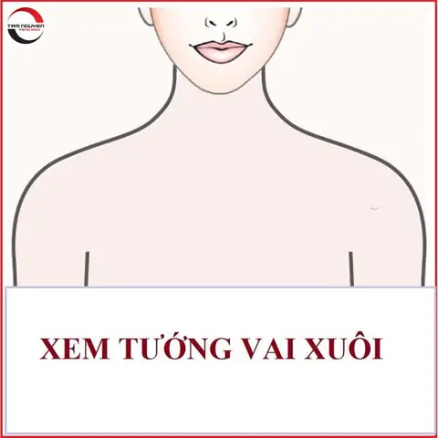 Tướng Vai Ngang Có Ngắn Tướng Vai Ngang Có Ngắn