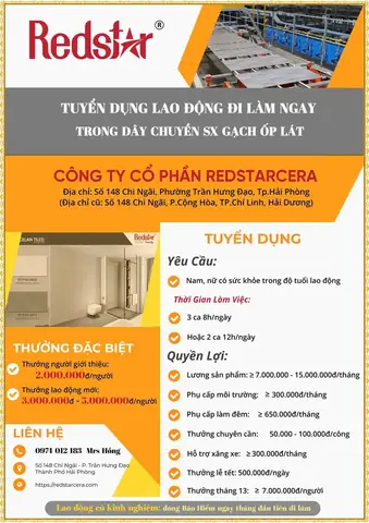 Tuyển Dụng Hải Phòng: Tổng Hợp Việc Làm Mới Nhất, Lương Cao 2026 Tuyển Dụng Hải Phòng: Tổng Hợp Việc Làm Mới Nhất, Lương Cao 2026