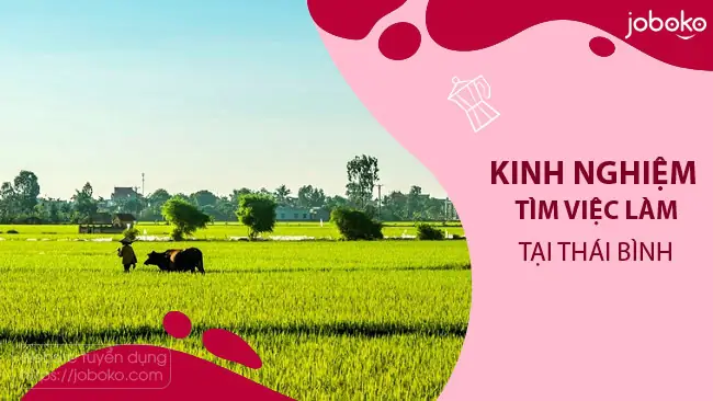 Tổng Hợp Tin Tuyển Dụng Việc Làm Tại Thái Bình Mới Nhất 2026 Tổng Hợp Tin Tuyển Dụng Việc Làm Tại Thái Bình Mới Nhất 2026