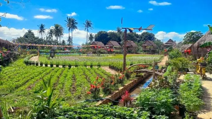 Thị Xã Ayun Pa, Gia Lai: Tổng Quan Thông Tin Hành Chính Và Cập Nhật Mới Nhất Thị Xã Ayun Pa, Gia Lai: Tổng Quan Thông Tin Hành Chính Và Cập Nhật Mới Nhất