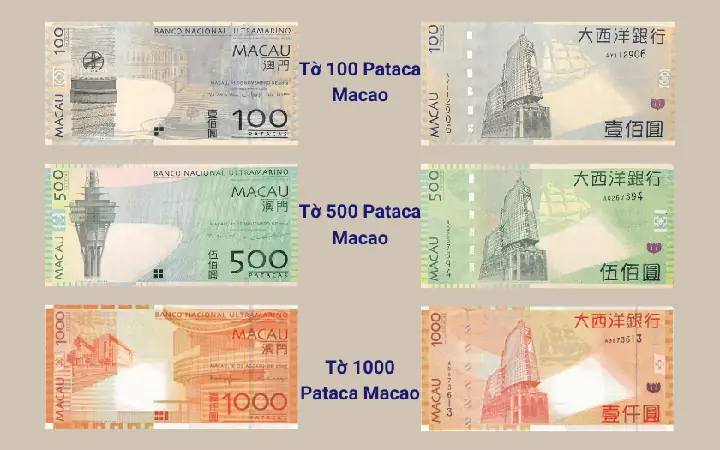 Tỷ Giá Pataca Macau (mop) Sang Đồng Việt Nam (vnd) Mới Nhất Hôm Nay Tỷ Giá Pataca Macau (mop) Sang Đồng Việt Nam (vnd) Mới Nhất Hôm Nay