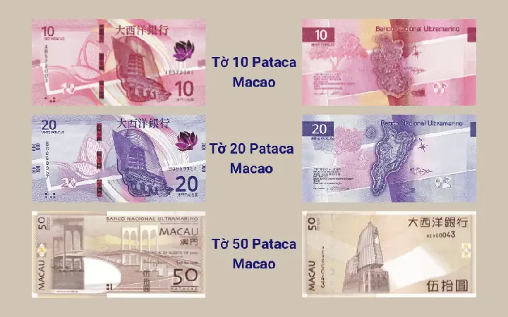 Tỷ Giá Pataca Macau (mop) Sang Đồng Việt Nam (vnd) Mới Nhất Hôm Nay Tỷ Giá Pataca Macau (mop) Sang Đồng Việt Nam (vnd) Mới Nhất Hôm Nay