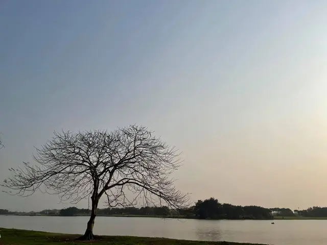 Tổng Quan Về Khu Vực Vân Trì, Đông Anh: Vị Trí, Quy Hoạch Và Tiềm Năng Bất Động Sản Tổng Quan Về Khu Vực Vân Trì, Đông Anh: Vị Trí, Quy Hoạch Và Tiềm Năng Bất Động Sản