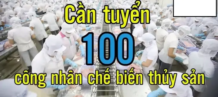 Tổng Hợp Việc Làm Tại Tiền Giang Mới Nhất: Cơ Hội Nghề Nghiệp Cho Mọi Ngành Nghề Tổng Hợp Việc Làm Tại Tiền Giang Mới Nhất: Cơ Hội Nghề Nghiệp Cho Mọi Ngành Nghề