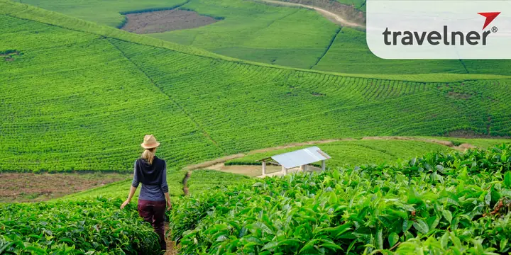 Visit Rwanda Là Gì? Tìm Hiểu Chiến Dịch Quảng Bá Du Lịch Và Những Tranh Cãi Xoay Quanh Hợp Đồng Tài Trợ Arsenal Visit Rwanda Là Gì? Tìm Hiểu Chiến Dịch Quảng Bá Du Lịch Và Những Tranh Cãi Xoay Quanh Hợp Đồng Tài Trợ Arsenal