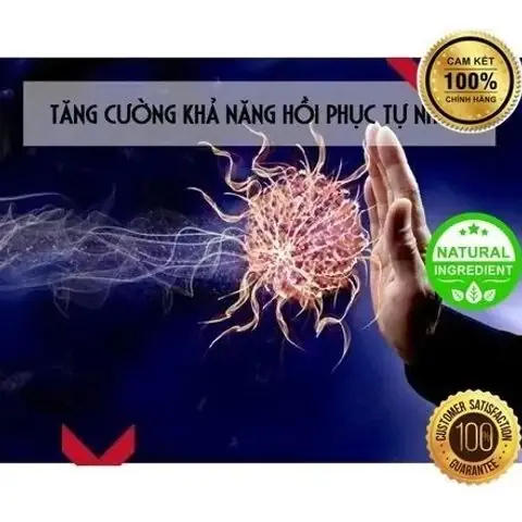 Vòng Tay Lượng Tử Là Gì? – Công Dụng, Bằng Chứng Khoa Học Và Lưu Ý Khi Mua