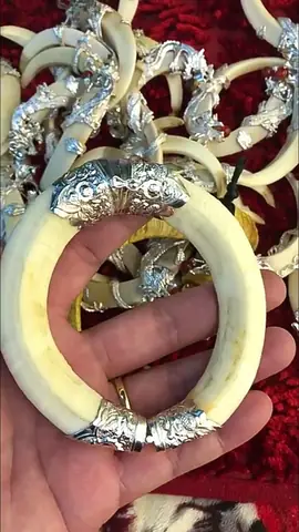Vòng Tay Nanh Heo Rừng Vòng Tay Nanh Heo Rừng