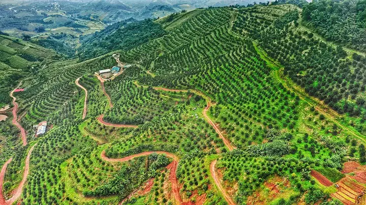 Kinh Nghiệm Đi Vườn Cam Cao Phong: Lịch Trình, Cách Chọn Cam Ngon Và Giá Bán Mới Nhất Kinh Nghiệm Đi Vườn Cam Cao Phong: Lịch Trình, Cách Chọn Cam Ngon Và Giá Bán Mới Nhất