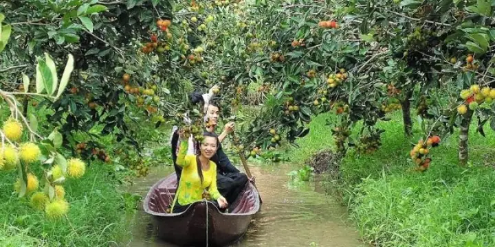 Top 10 Vườn Cây Ăn Quả Miền Tây Nên Ghé Thăm: Địa Chỉ, Loại Trái Cây Và Hướng Dẫn Du Lịch Top 10 Vườn Cây Ăn Quả Miền Tây Nên Ghé Thăm: Địa Chỉ, Loại Trái Cây Và Hướng Dẫn Du Lịch