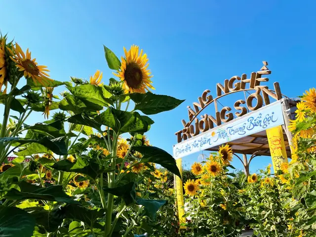 Khám Phá Vường Hoa Trường Sơn Nha Trang: Địa Điểm, Hoạt Động Và Mẹo Du Lịch