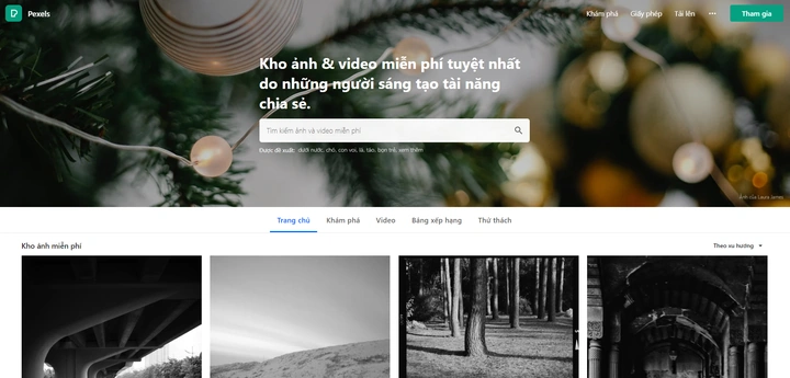 Tải 100+ Website Hình Ảnh Chất Lượng Cao Miễn Phí Cho Nhà Thiết Kế & Marketer