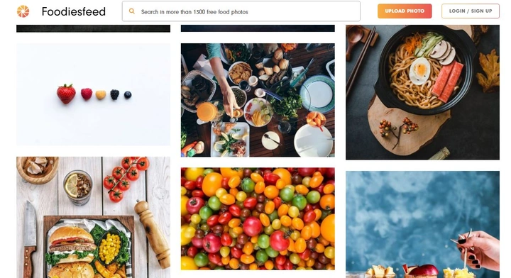Tải 100+ Website Hình Ảnh Chất Lượng Cao Miễn Phí Cho Nhà Thiết Kế & Marketer