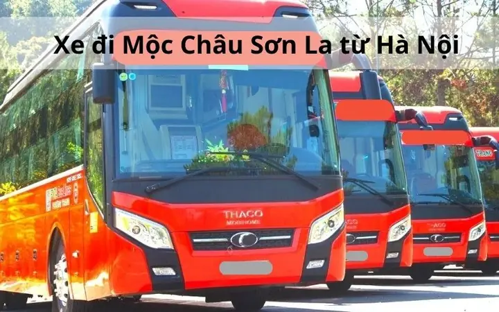 Danh Sách Nhà Xe Uy Tín, Lịch Chạy Và Giá Vé Hà Nội – Mộc Châu 2026 Danh Sách Nhà Xe Uy Tín, Lịch Chạy Và Giá Vé Hà Nội – Mộc Châu 2026