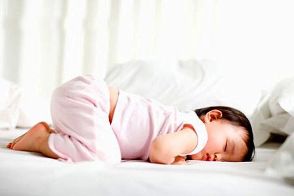 100+ Hình Ảnh Giun Kim Hd Đẹp Nhất 2026 – Bộ Sưu Tập Đầy Đủ, Tải Nhanh, Sử Dụng Đa Năng