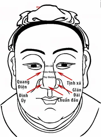 Xem Nhân Tướng Học Ở Đầu Xem Nhân Tướng Học Ở Đầu