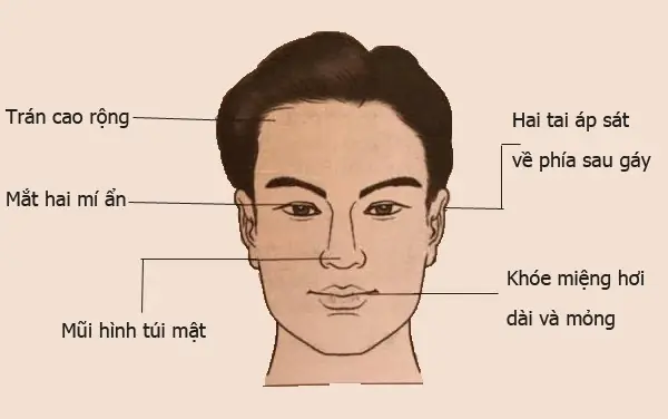Xem Tướng Cổ Đàn Ông Xem Tướng Cổ Đàn Ông