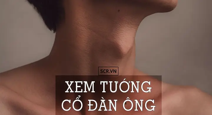 Xem Tướng Cổ Đàn Ông Xem Tướng Cổ Đàn Ông