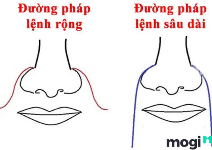 Xem Tướng Đường Pháp Lệnh Xem Tướng Đường Pháp Lệnh
