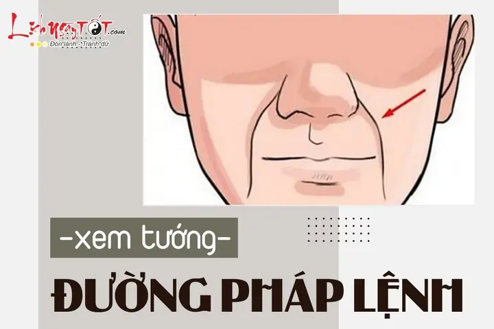 Xem Tướng Đường Pháp Lệnh Xem Tướng Đường Pháp Lệnh