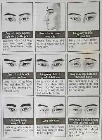 Xem Tướng Lông Mày Đàn Ông Xem Tướng Lông Mày Đàn Ông