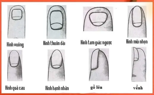 Xem Tướng Móng Tay Đàn Ông Xem Tướng Móng Tay Đàn Ông