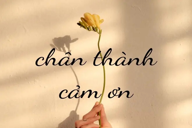 Trân Trọng Hay Chân Trọng: Cách Viết Đúng Chính Tả Và Ý Nghĩa Của "xin Trân Trọng Cảm Ơn" Trân Trọng Hay Chân Trọng: Cách Viết Đúng Chính Tả Và Ý Nghĩa Của "xin Trân Trọng Cảm Ơn"