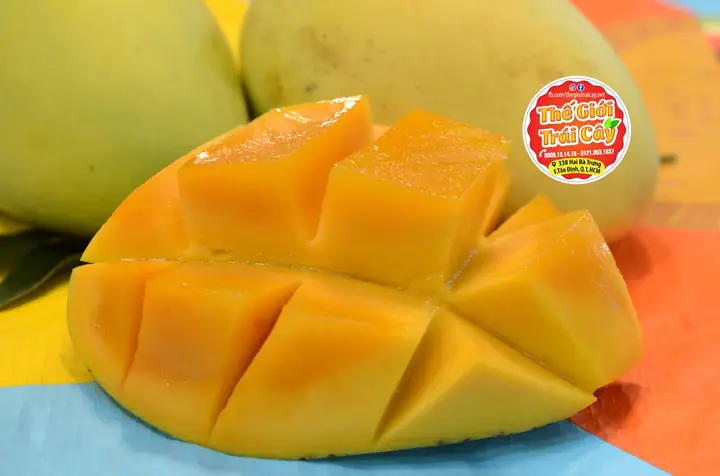 Xoài Cát Chu Cao Lãnh: Đặc Điểm, Hương Vị Và Cách Chọn Xoài Chuẩn Ngon Xoài Cát Chu Cao Lãnh: Đặc Điểm, Hương Vị Và Cách Chọn Xoài Chuẩn Ngon