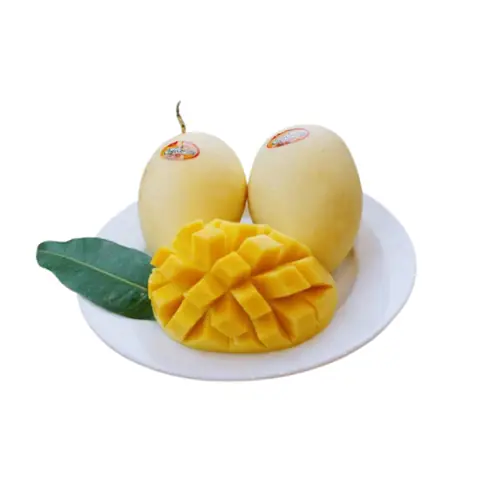 Xoài Cát Chu Cao Lãnh: Đặc Điểm, Hương Vị Và Cách Chọn Xoài Chuẩn Ngon Xoài Cát Chu Cao Lãnh: Đặc Điểm, Hương Vị Và Cách Chọn Xoài Chuẩn Ngon