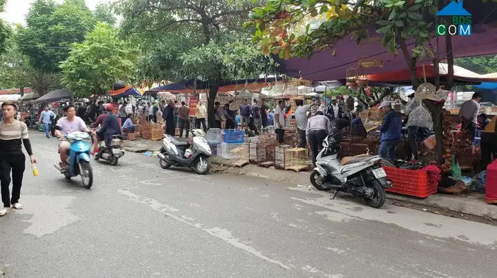 Tổng Quan Thông Tin Và Thị Trường Bất Động Sản Đường Yên Phúc, Quận Hà Đông Tổng Quan Thông Tin Và Thị Trường Bất Động Sản Đường Yên Phúc, Quận Hà Đông