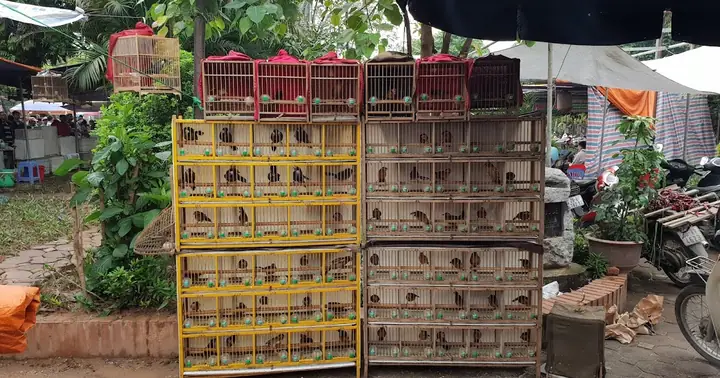 Tổng Quan Thông Tin Và Thị Trường Bất Động Sản Đường Yên Phúc, Quận Hà Đông Tổng Quan Thông Tin Và Thị Trường Bất Động Sản Đường Yên Phúc, Quận Hà Đông