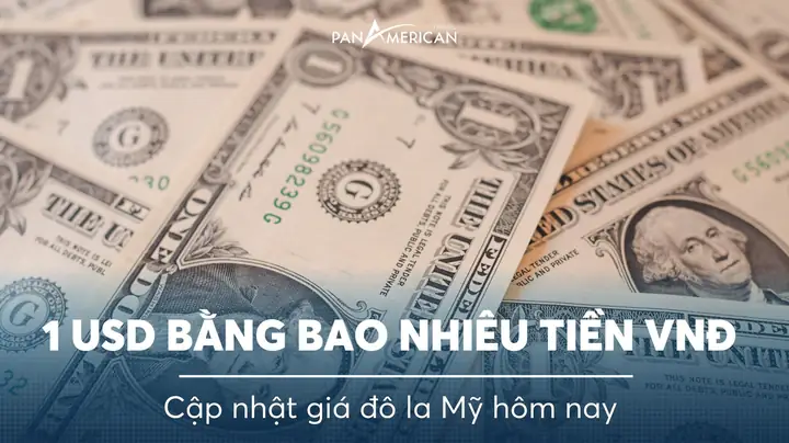 10 Đô La Mỹ Đổi Được Bao Nhiêu Đồng Việt Nam? Tỷ Giá Mới Nhất Và Cách Tính Nhanh